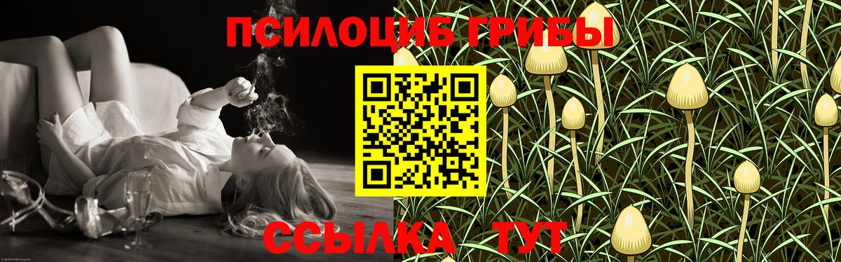 Галлюциногенные грибы GOLDEN TEACHER  магазин продажи наркотиков  Керчь  Вход с VPN 