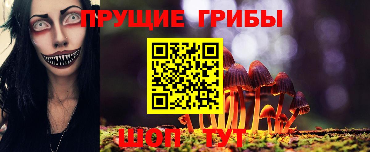 Галлюциногенные грибы Psilocybe Керчь